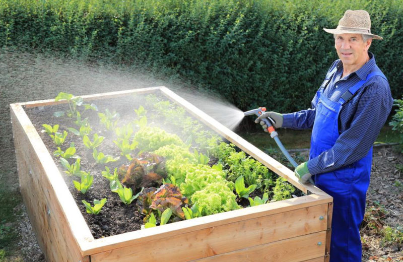Four smart tips that every newbie gardener should know